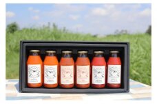 3種類のフレッシュなトマトの味わいが楽しめる　野崎農園　トマトジュースバラエティーセット　180ml×3種類×2本 果汁飲料 野菜飲料 
