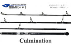 剛樹 カルミネイション Culmination CTG 平政 ML8ft (CLM CTG平政 ML 8ft) キャスティングロッド 