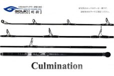 剛樹 カルミネイション Culmination CTG 平政 ML8.3ft (CLM CTG平政 ML 8.3ft) キャスティングロッド 