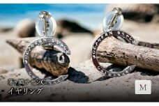 茅ヶ崎サザンCイヤリングM 