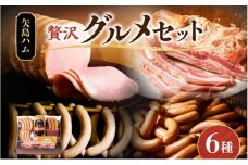 矢島ハム 贅沢グルメ セット 6種 ハム ベーコン セット ドイツブロック  国産 牛肉  豚肉 手作り ハム ソーセージ 詰め合わせ こだわり 加工品 ギフト  お中元 お歳暮 贈り物 株式会社 矢島ハム  神奈川県 茅ヶ崎市