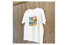 	湘南・茅ヶ崎で描く、海を感じるイラストアート 『湘南ランドスケープ：Tシャツ（Lサイズ）』 /風景 犬 猫 景色 デザイン ビーチ 海辺 サザンC