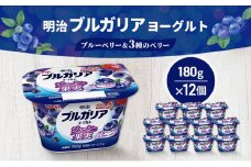ヨーグルト 明治ブルガリアヨーグルト脂肪0 ジューシー果実 ブルーベリー&3種のベリー（180g×12個） 乳製品 乳酸菌 脂肪0 果汁 果肉 ブルーベリー ベリー 食べ切り 茅ヶ崎市 神奈川県