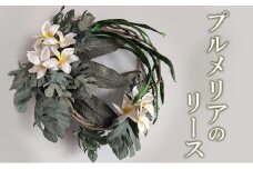 プルメリアのリース　花　インテリア　ギフト　プレゼント　着物　アレンジ　おしゃれ   お祝い