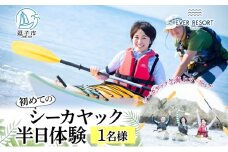 【逗子海岸・エバーリゾート 】シーカヤックで海上ツーリング 半日体験１名様 体験 海 カヤック ガイド ランチ 無人島 波 水着 ウエットスーツ 逗子海岸 エバーリゾート 神奈川県 逗子市 [№5875-0044]