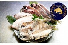 塩干物　（自家製天日干） [№5875-0020]