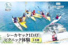 【逗子海岸・エバーリゾート 】シーカヤック 1DAY ピクニック体験 1名様 ランチ付き ピクニック 体験 海 カヤック ガイド ランチ 無人島 波 水着 ウエットスーツ 逗子海岸 エバーリゾート 神奈川県 逗子市 [№5875-0068]