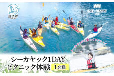 【逗子海岸・エバーリゾート 】シーカヤック 1DAY ピクニック体験 1名様 ランチ付き ピクニック 体験 海 カヤック ガイド ランチ 無人島 波 水着 ウエットスーツ 逗子海岸 エバーリゾート 神奈川県 逗子市 [№5875-0068]