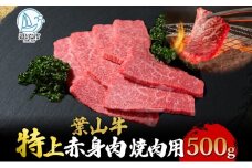 葉山牛 特上赤身 焼肉用 500g 冨士屋牛肉店 葉山牛 和牛 にく 肉焼くだけ 焼き肉用  冷凍 お中元 ギフト 箱入り 贈答用  豪華 おもてなし神奈川県 【 逗子市 】 [№5875-0323]