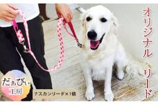 だぁびぃ工房　オリジナル　リード（サイズ、色柄選択可） [№5875-0494]