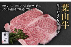 葉山牛 サーロインステーキ 約250g 2枚 冨士屋牛肉店 ステーキ サーロイン 霜降り 箱入り 贈答用 お中元 ギフト おもてなし 黒毛和牛 神奈川県 【 逗子市 】 [№5875-0516]