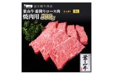 牛肉 冨士屋牛肉店がお届けする 葉山牛 特上 ロース肉 焼肉用 500g 和牛 ロース サーロイン 焼肉 [№5875-0517]