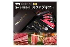 カタログギフト 冨士屋牛肉店 葉山牛 選べる！贈れる！特選牛肉 カタログ ギフト 牛肉 和牛 [№5875-0579]