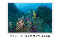 写真家長島敏春　オリジナルプリント「逗子シリーズ1　逗子のサンゴ」フレーム付き [№5875-0583]