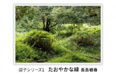 写真家長島敏春　オリジナルプリント 「逗子シリーズ1　たおやかな緑」フレーム付き [№5875-0586]