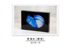 zushi art gallery西村陽一郎写真作品　アクリルブロック「貝殻B（横型）」 [№5875-0592]