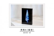 zushi art gallery西村陽一郎写真作品　アクリルブロック「貝殻A（縦型）」 [№5875-0591]
