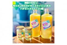 神奈川SDG's　青ミカンROCKビタースカッシュ3本＆ハチミツスクイーズ2個　【逗子市・平塚市　共通返礼品】 [№5875-0659]