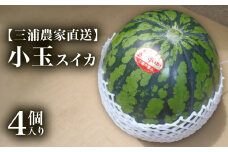 【三浦農家直送】小玉スイカ（4個入り）　M003-001