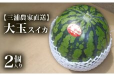 【三浦農家直送】大玉スイカ（2個入り）　M003-003