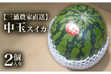 【三浦農家直送】中玉スイカ（2個入り）　M003-002