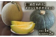【三浦農家直送】メロンとカボチャセット　M003-005