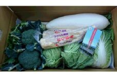 【三浦農家直送】三浦大根と冬野菜セット ※ご入金締切1月15日　M003-007