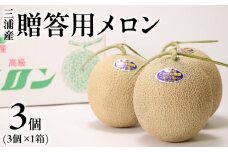 贈答用メロン　M001-001