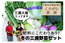 ボリューム満点！季節の野菜詰め合わせ（冬）　M001-004-02