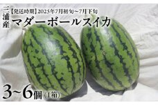 マダーボールスイカ　M001-002
