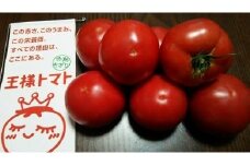 王様トマト贅沢セット　M001-003