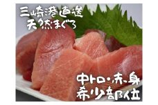 【三崎港直送】天然マグロお刺身セット（中トロ赤身・希少部位）　M005-035