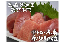 【三崎港直送】天然マグロお刺身セット（中トロ赤身・希少部位）　M005-035