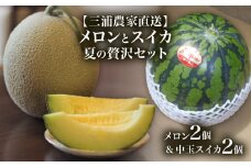 【三浦農家直送】メロンとスイカ夏の贅沢セット　M003-009