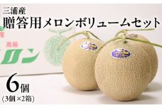 贈答用メロン ボリュームセット　M001-006