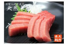 【定期便】天然本鮪中とろ2柵・赤身1柵を2回分　M007-T01