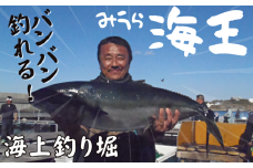 「海上釣り堀みうら海王」無料招待券　M028-001