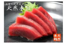 【定期便】天然本鮪中とろ3柵赤身2柵ネギトロ1Pを2回分　M007-T05