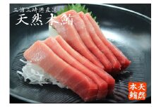 【定期便】極上品天然本鮪中とろ3柵赤身3柵を8回分　M007-T02
