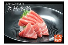 【定期便】極上品天然本鮪大とろ3柵中とろ3柵赤身3柵を8回分　M007-T04