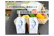 食彩GARDEN三浦やさい栽培キット＆旬野菜　M043-001