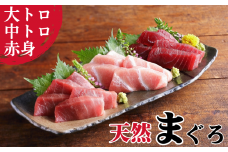 本物の味をお届け！厳選！天然三崎まぐろ大トロ・中トロ・赤身セット　M005-038