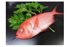 【三崎水揚げ】金目鯛＋味噌漬＆粕漬欲張りセット　M026-007