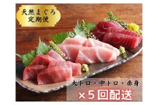 （全5回配送）天然！三崎まぐろ大トロ・中トロ・赤身 お刺身定期便　M005-T02