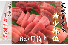 本物の味をお届け！厳選！天然三崎まぐろ＜希少部位＞背トロ＆中トロ・赤身　M005-039
