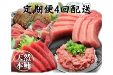 【定期便】天然本鮪詰合せ 4回配送　M007-T08