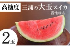 【高糖度】三浦の大玉スイカ2玉【露地栽培】　M072-001-02
