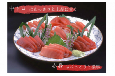【総量450g】天然メバチまぐろ 中トロ赤身詰合せ　M073-001