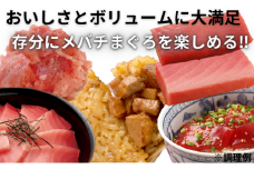 【総量1.1kg】天然メバチまぐろバラエティセット　M073-003