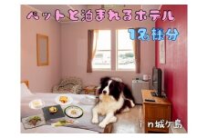 ペットと泊まる宿CARO FORESTA城ヶ島遊ヶ崎BASEスタンダードルーム宿泊券【1泊2食付き】（大人1名様分）　M076-002-01